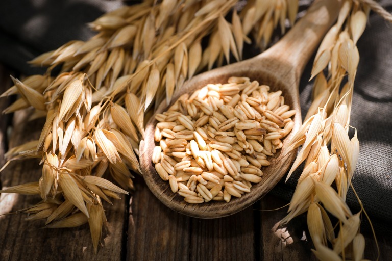 オーツ麦 収穫 イメージ