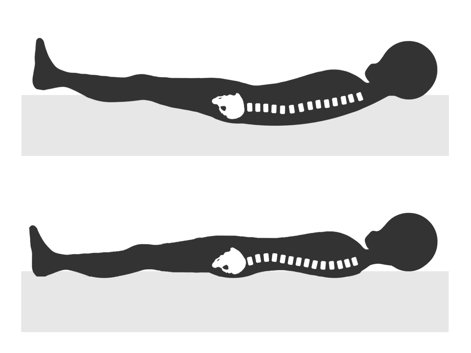 睡眠　寝姿勢　背骨のイラスト
