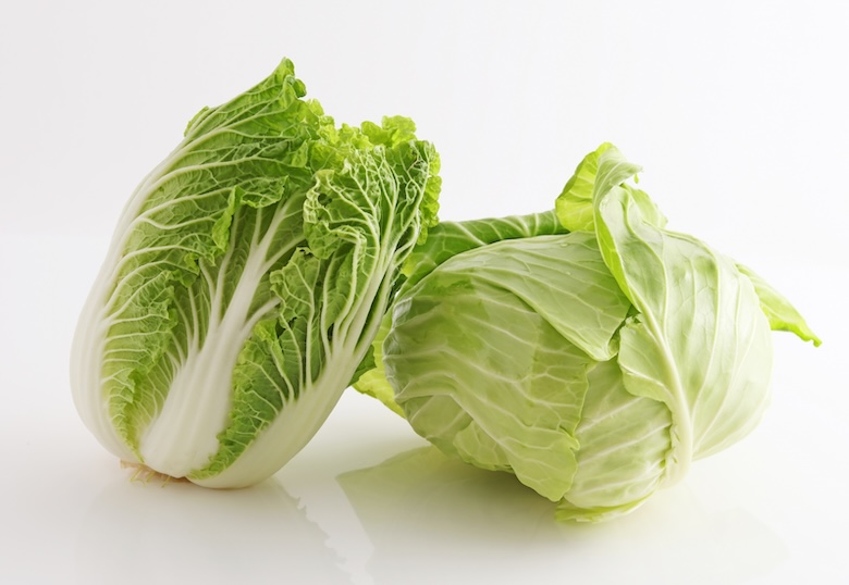 白菜とキャベツ