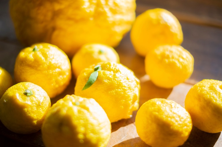 日光に当たる複数のゆず