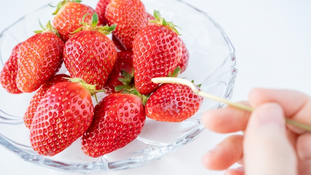 器に持ったいちごをフォークで刺す イチゴを食べるイメージ