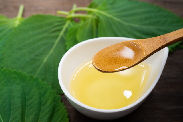 エゴマの葉を背景に、エゴマ油を木製スプーンですくう様子