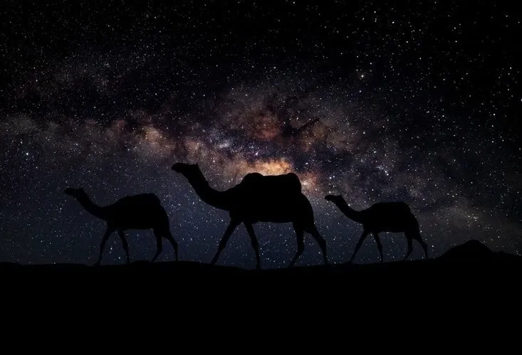 ジャイサルメールの砂漠キャンプ