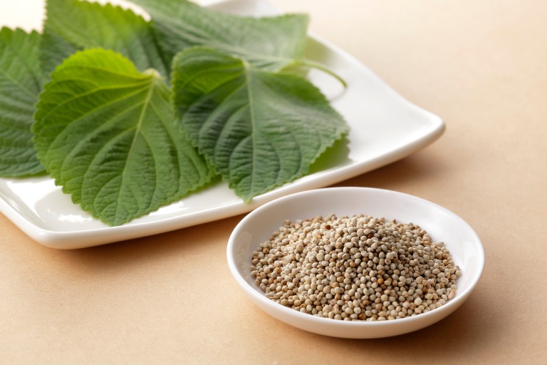 エゴマの葉と実 えごまとは