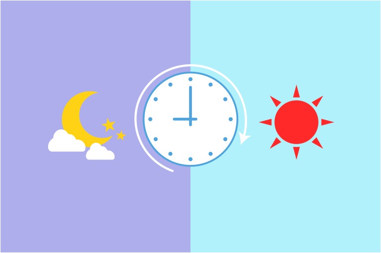 朝夜の生活リズムのイメージイラスト