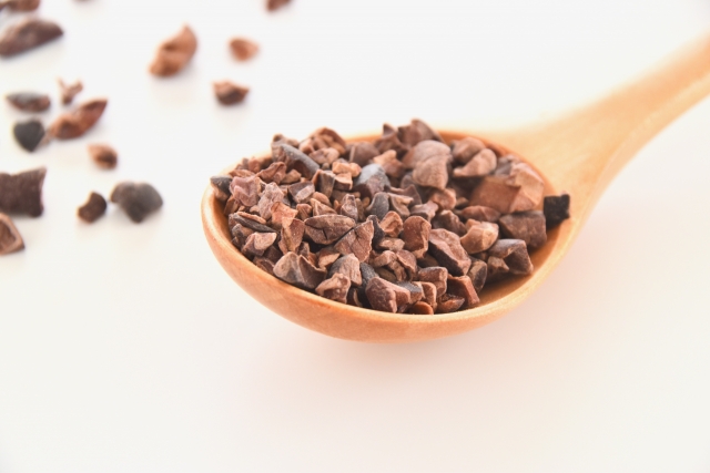 スプーンいっぱいに入ったカカオニブ