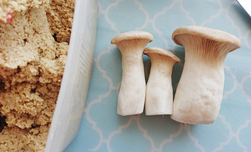 きのこのぬか漬けイメージ エリンギと糠床