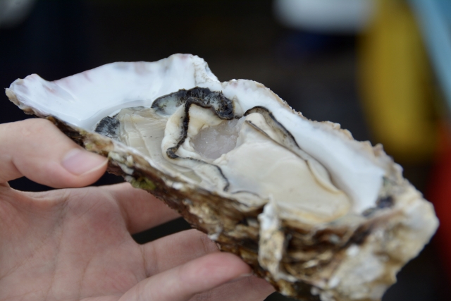 那珂湊おさかな市場の生牡蠣