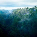 星のやバリで心身をリセット|究極の静寂と文化体験を味わう特別な3日間