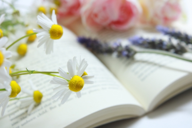 春の花と本　読書イメージ