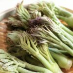 【レシピ】タラの芽の旬と楽しみ方とは？出回る時期や食べ方を解説