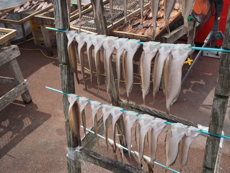 ひたちなかの市場　干物を干している様子
