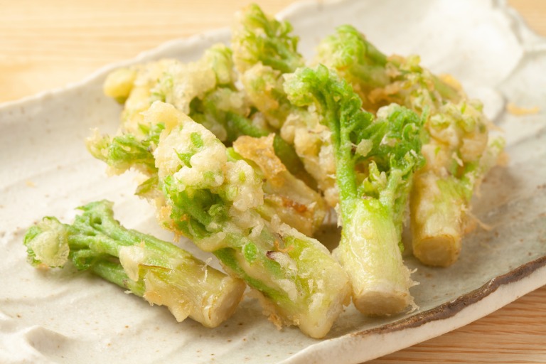 たらの芽のてんぷら