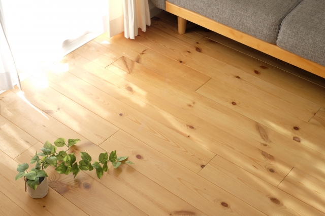 綺麗に片付いた木のフローリング　観葉植物とソファとカーテンから差し込む日光