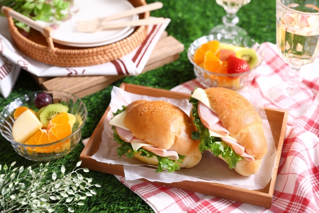 公園や庭園でのおしゃれピクニック　イメージ画像