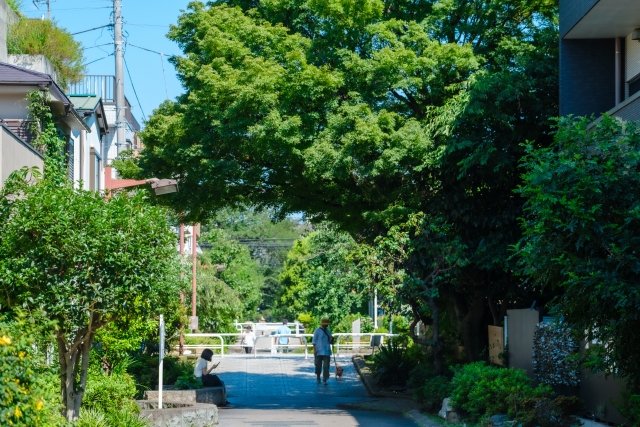 鮮やかな緑　緑道と散歩する人　木陰で休憩する人