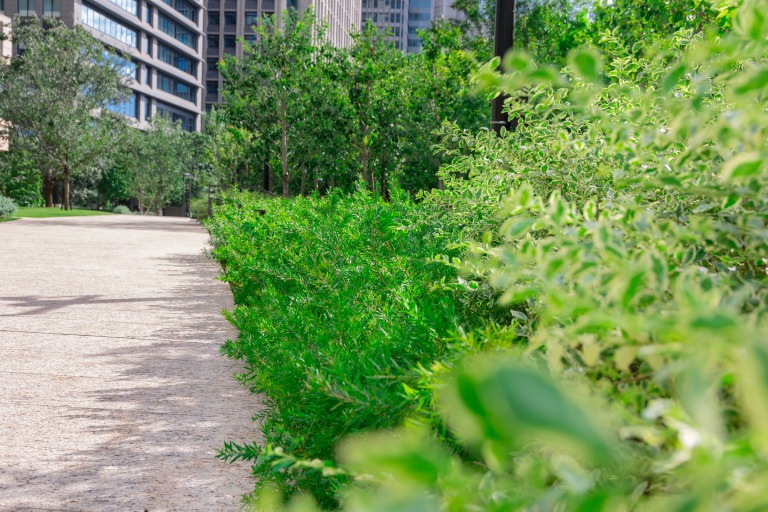 Otemachi One GARDEN 庭園写真