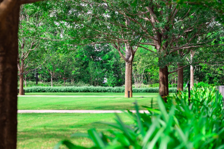 Otemachi One GARDEN 庭園写真