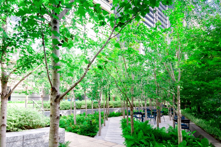 Otemachi One GARDEN 庭園写真