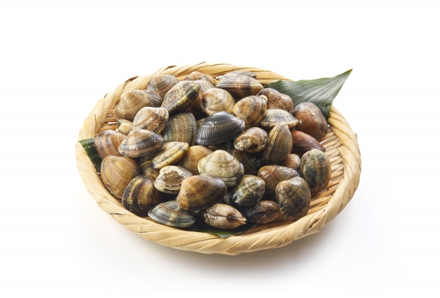 ざるに入ったあさり