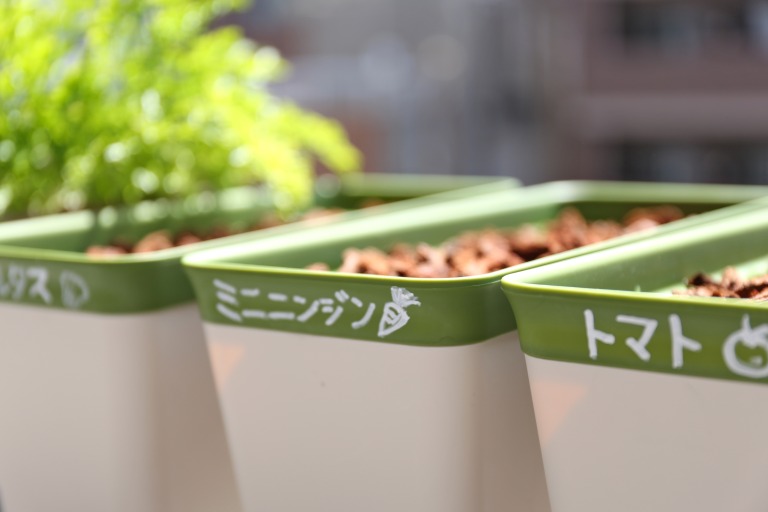 家庭菜園のプランターと植えたものの名前