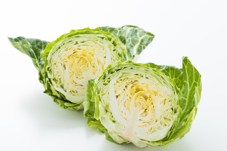 新鮮な春キャベツ 半分にカット 断面図
