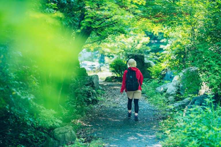 森の中で登山する女性の後ろ姿　ハイキング、トラッキング
