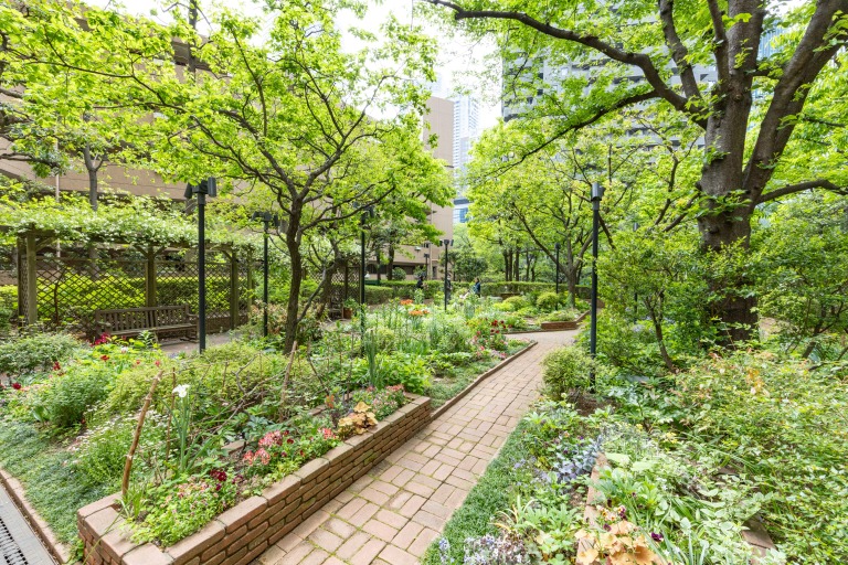 アークヒルズ ガーデン　写真