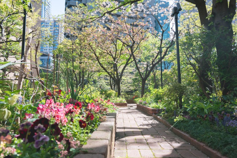 アークヒルズ ガーデン　写真