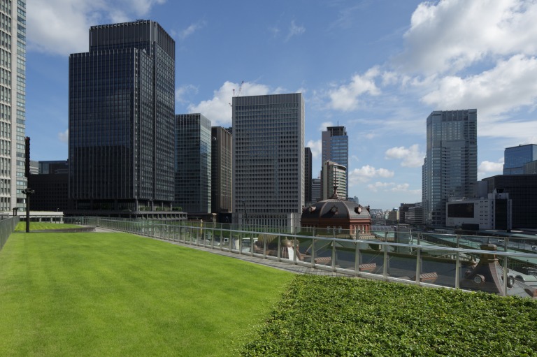 ＫＩＴＴＥガーデン