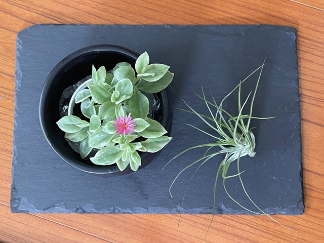 ダイソー　スレートプレート　インテリアとして