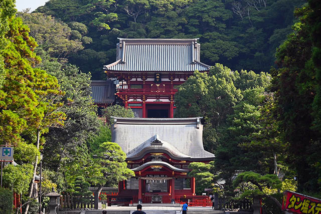 鶴岡八幡宮