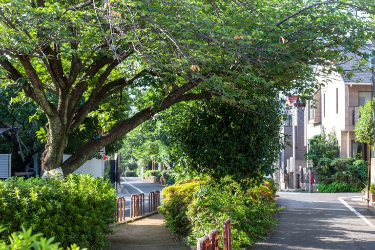 呑川緑道・柿の木坂コース（東京都目黒区柿の木坂） 　東京の緑道イメージ