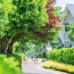 【2026年】東京のおすすめ緑道｜散歩・ランニング・穴場コースまで紹介