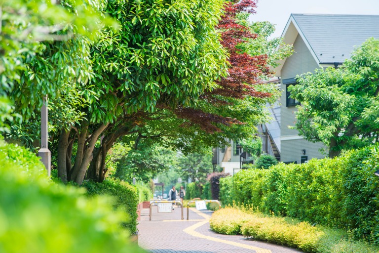住宅街の小道　東京の緑道イメージ