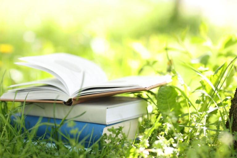 新緑の中の読書　イメージ