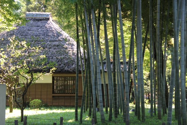 蘆花恒春園(世田谷)