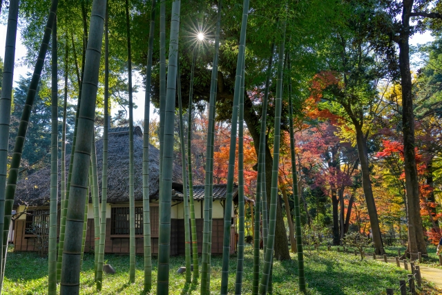 蘆花恒春園(世田谷)