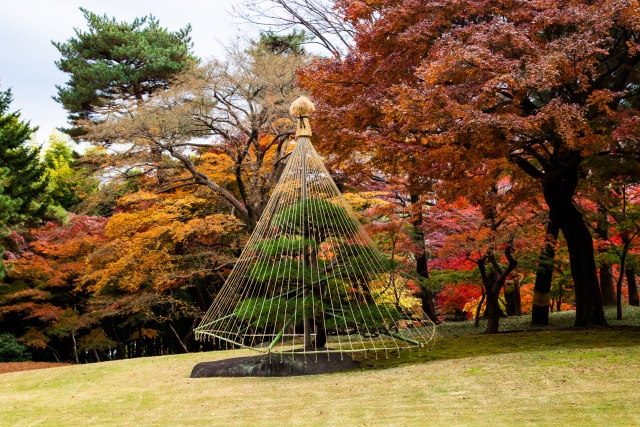 秋の殿ヶ谷戸庭園