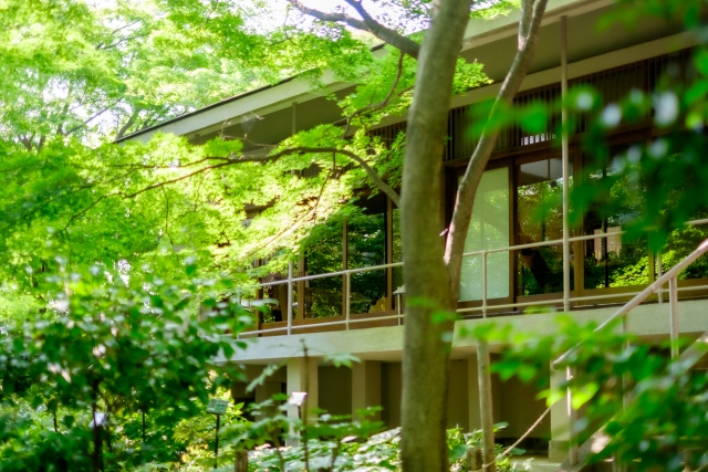 実篤公園の新緑景色
