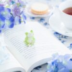 【6月におすすめの本】雨の日を少し楽しみに変えてくれる一冊｜この時期ならではの読書法も紹介