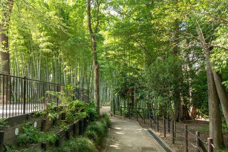 すずめのお宿緑地公園