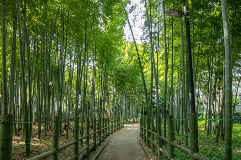 すずめのお宿緑地公園