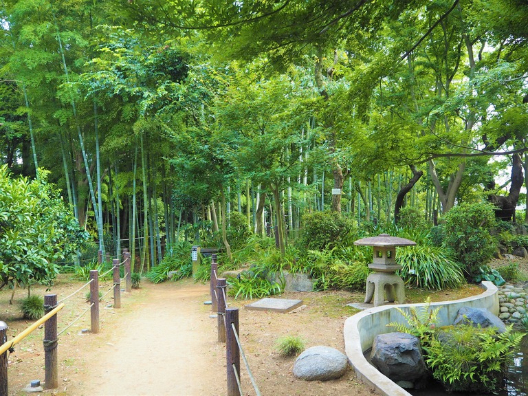 等々力渓谷の日本庭園と竹林