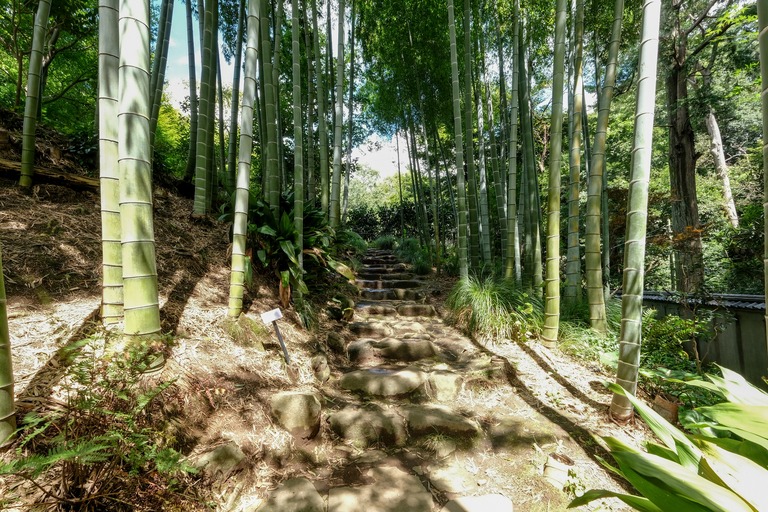 等々力渓谷の日本庭園と竹林