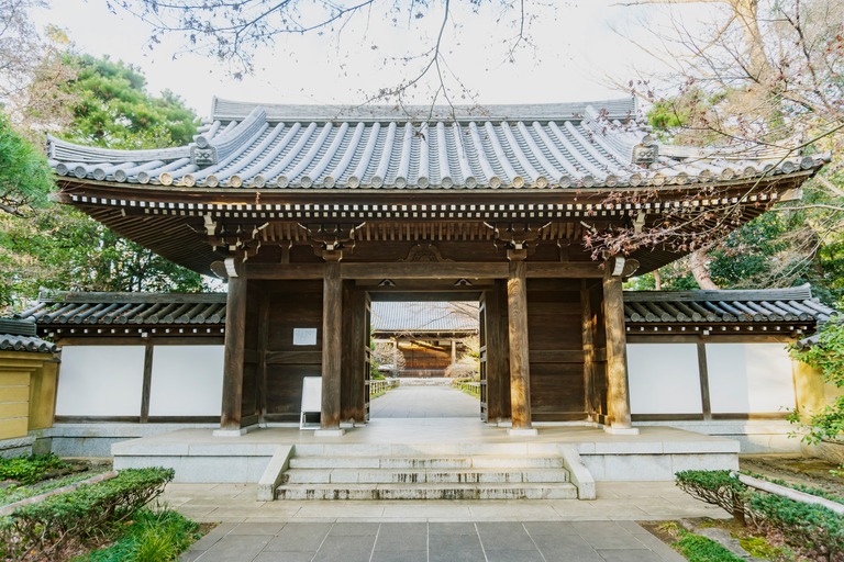 観泉寺の本堂へ続く道