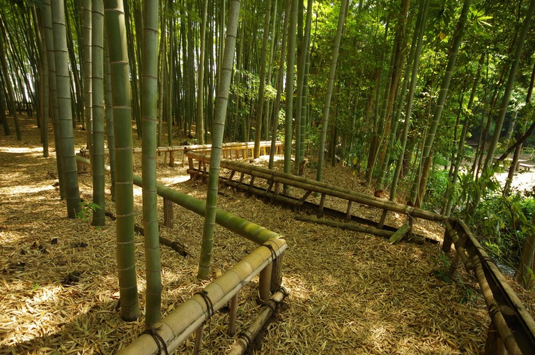 竹林公園(東久留米)の道
