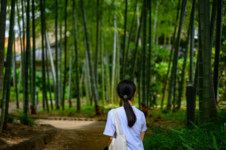 竹林を歩く女性の後ろ姿