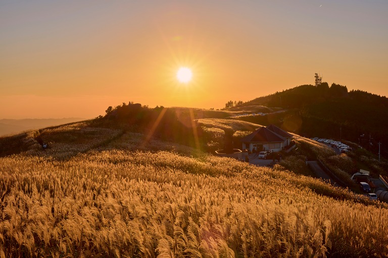 生石高原の夕日とすすきの絶景