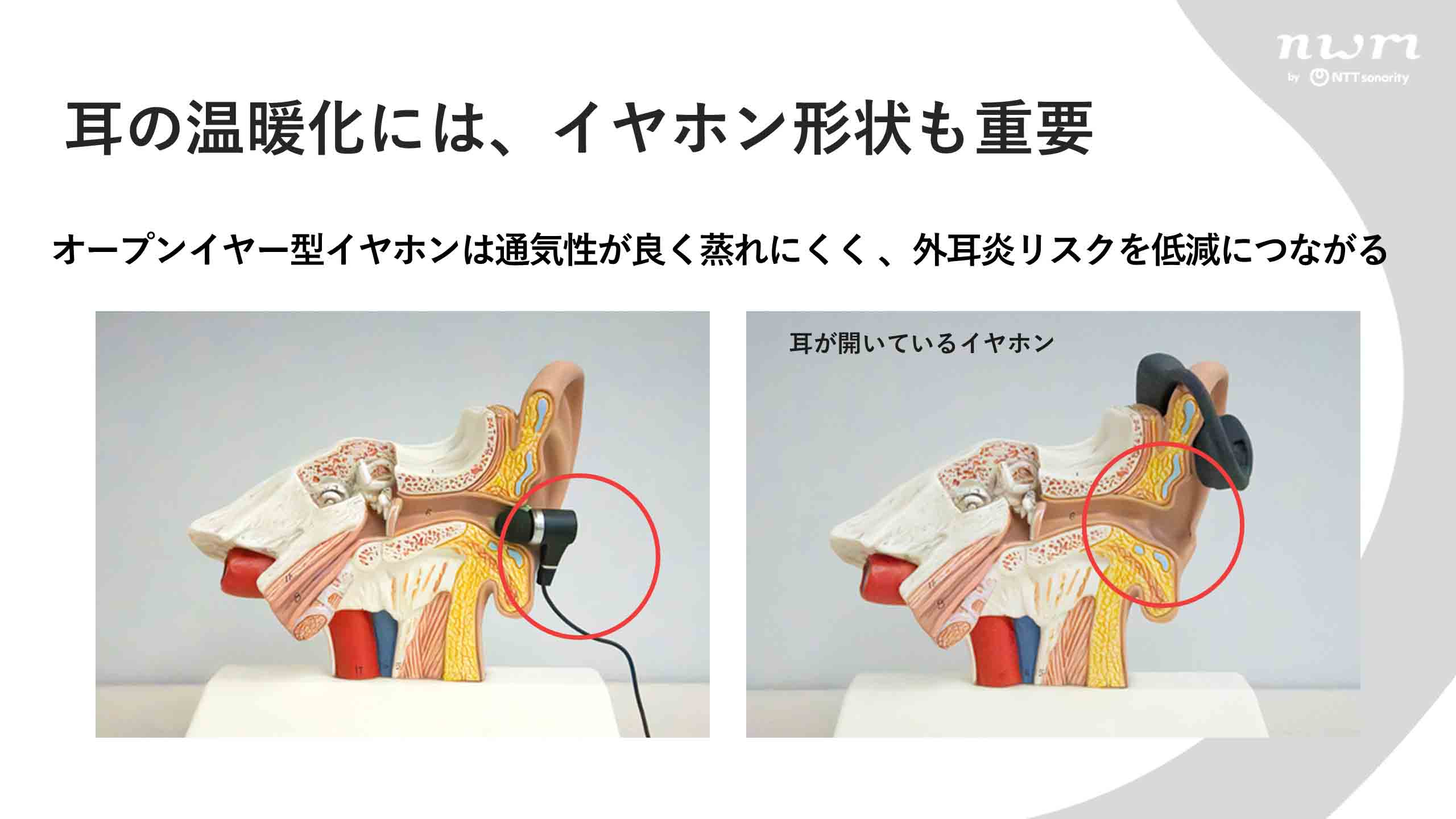 耳の温暖化人関しての資料